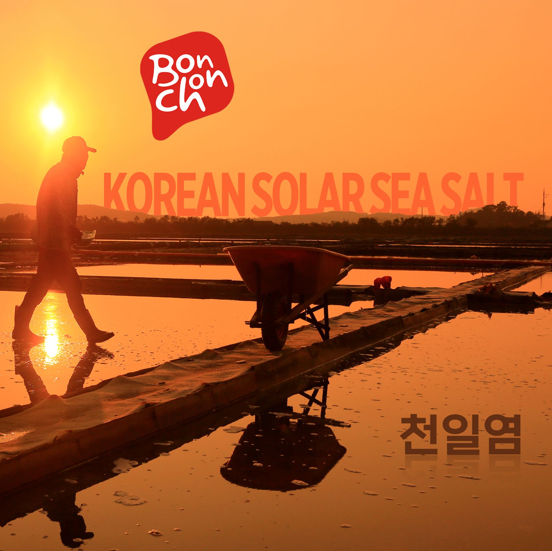Korean Solar Sea Salt